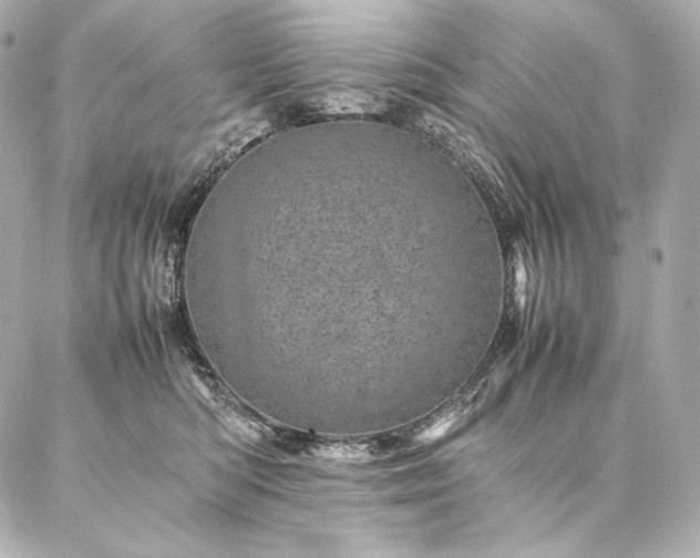 X0000086970422200704231520