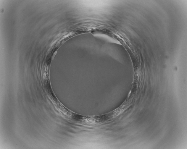 X0000086970423200704231520