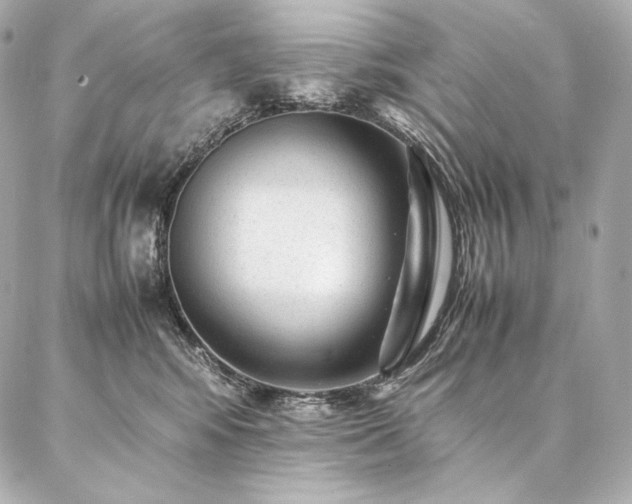 X0000086970424200704231520