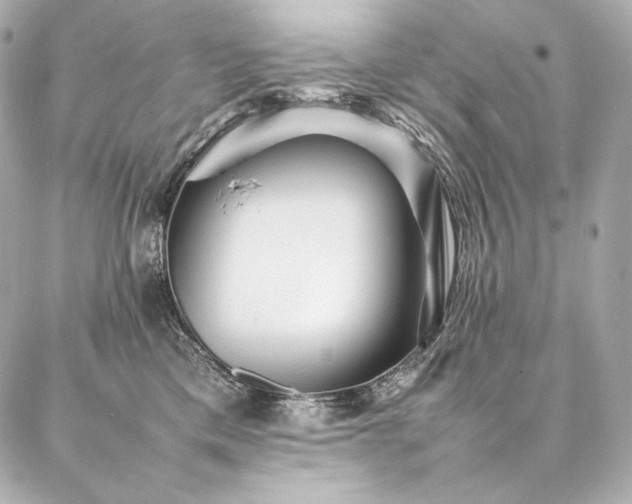 X0000086970425200704231520