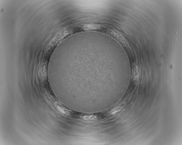 X0000086970426200704231520