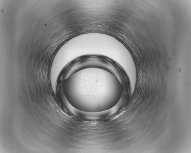 X0000086970428200704231520