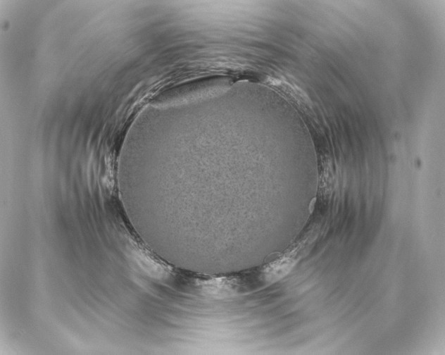 X0000086970430200704231520