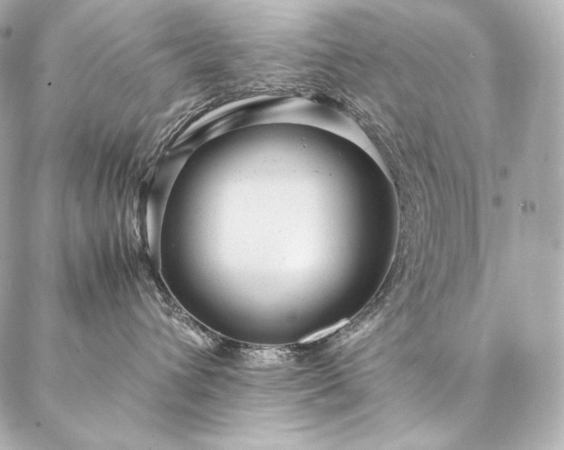 X0000086970432200704231520