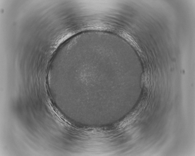 X0000086970434200704231519