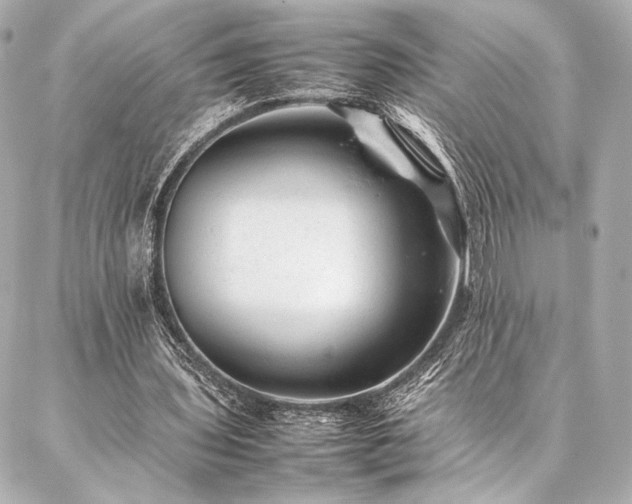 X0000086970435200704231519