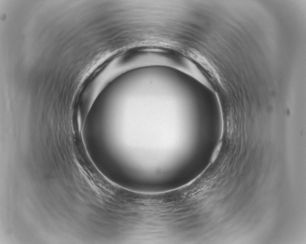 X0000086970436200704231519