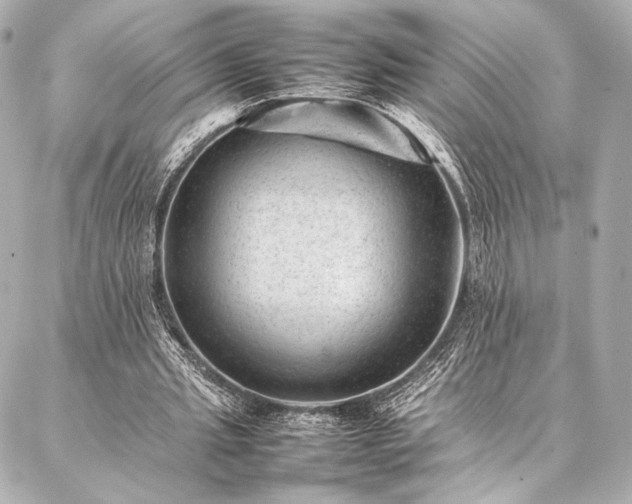 X0000086970437200704231519