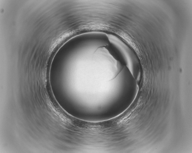 X0000086970438200704231519