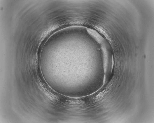 X0000086970439200704231519