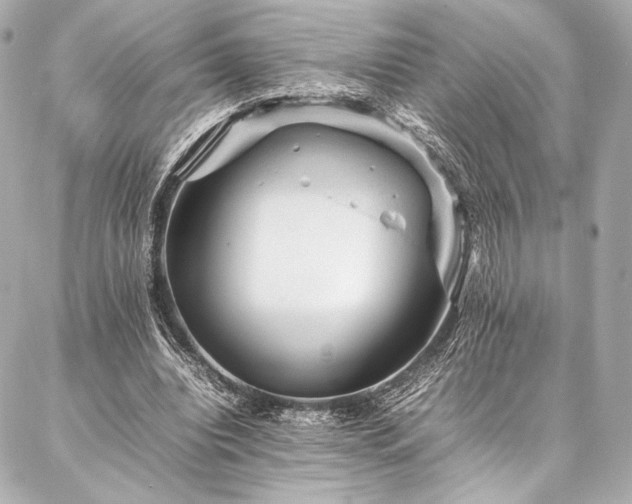 X0000086970440200704231519