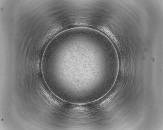 X0000086970441200704231519