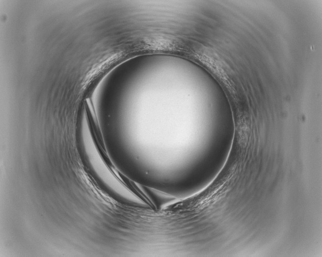 X0000086970442200704231519