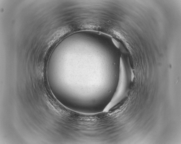 X0000086970443200704231519