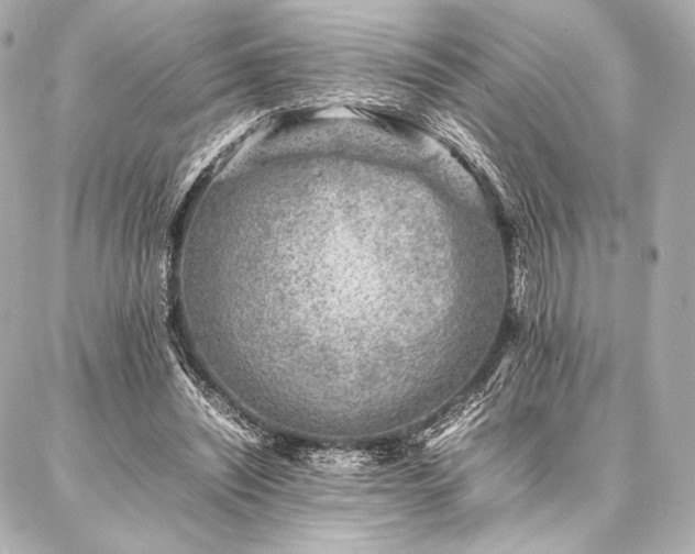 X0000086970444200704231519