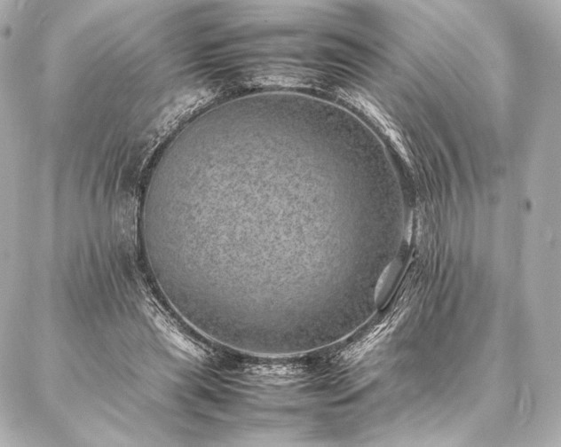 X0000086970445200704231519