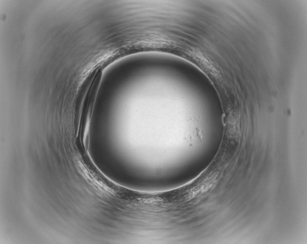 X0000086970446200704231519