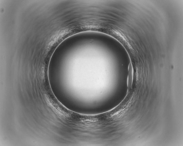 X0000086970447200704231519