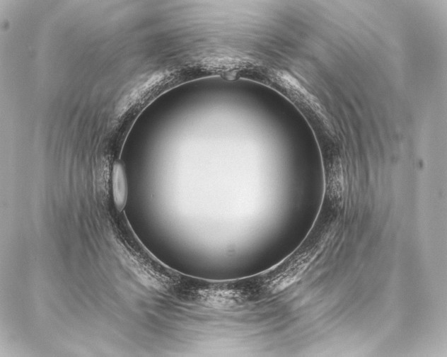 X0000086970448200704231519