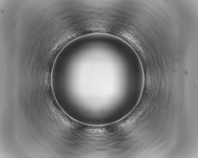 X0000086970449200704231519