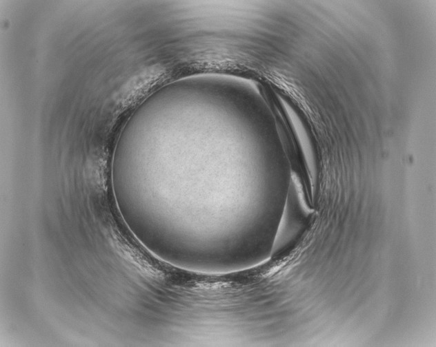 X0000086970450200704231520