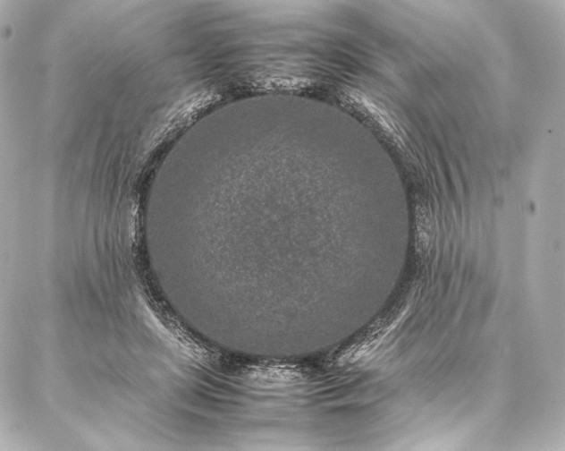 X0000086970451200704231520