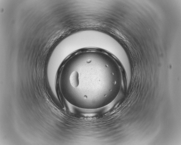 X0000086970452200704231520