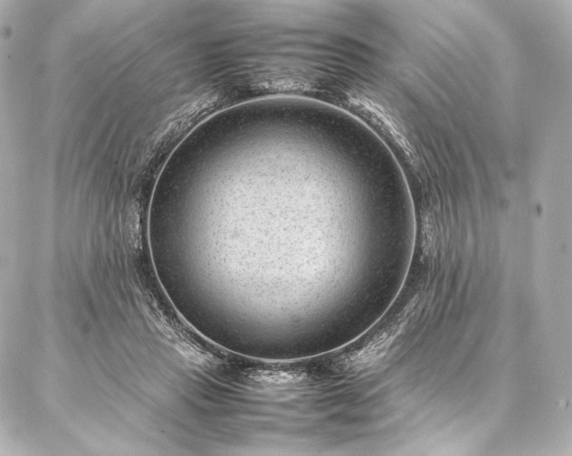 X0000086970453200704231520