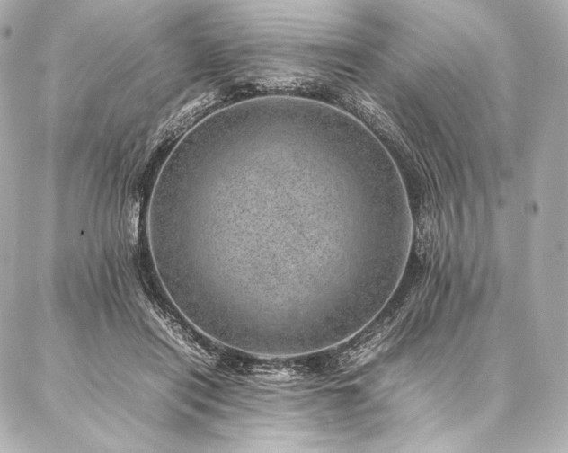 X0000086970454200704231520