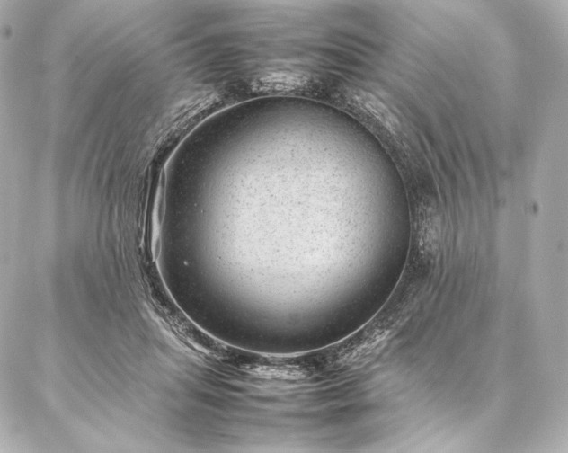 X0000086970455200704231520