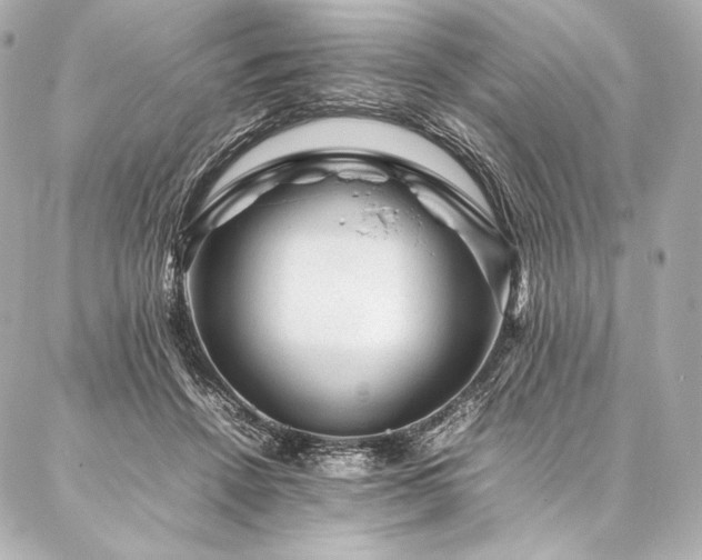 X0000086970456200704231520