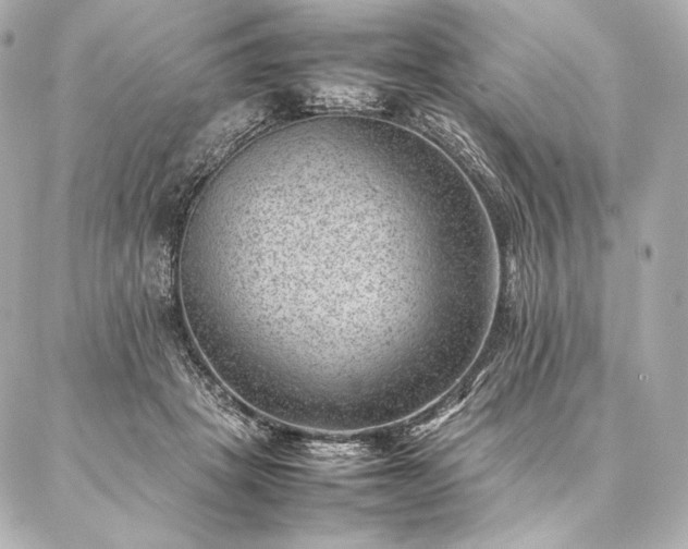 X0000086970457200704231520