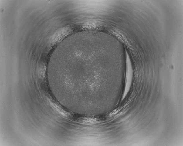 X0000086970458200704231520