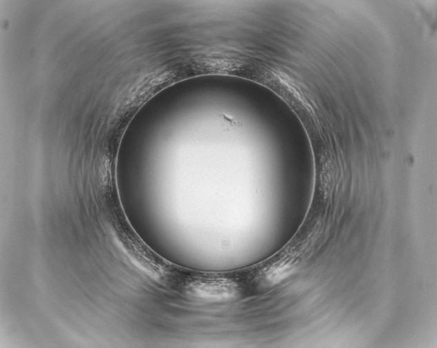 X0000086970459200704231520