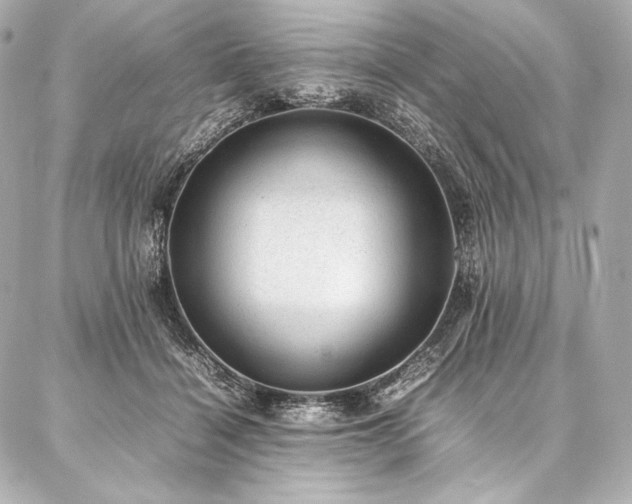 X0000086970460200704231520