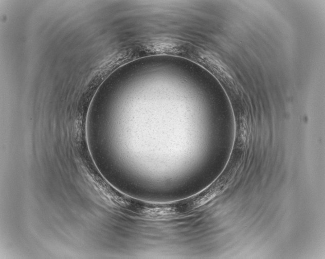 X0000086970461200704231520