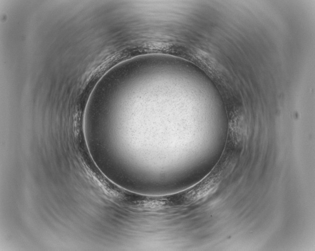 X0000086970462200704231520