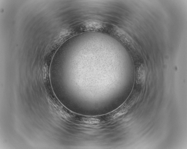 X0000086970463200704231520