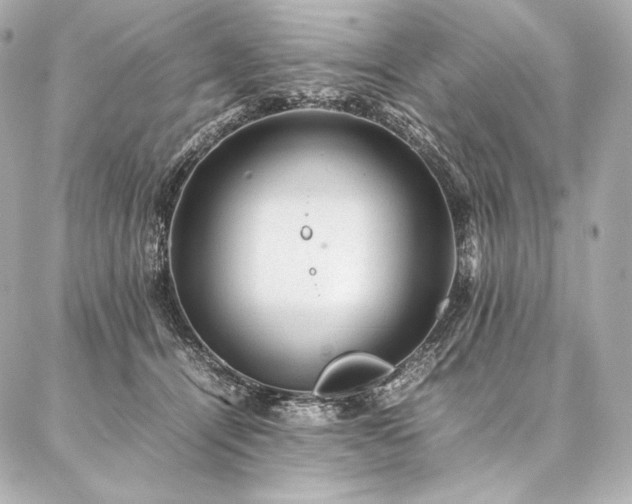 X0000086970464200704231520