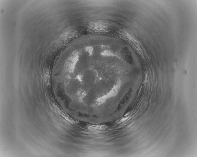 X0000086970465200704231520