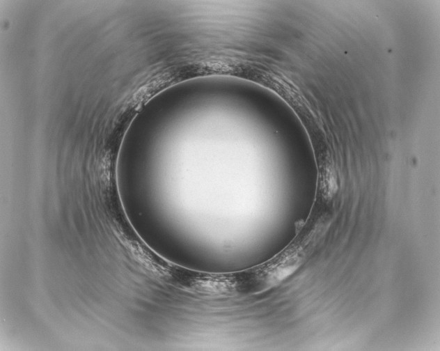 X0000086970466200704231520