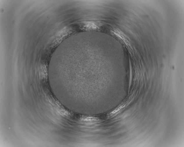 X0000086970467200704231520