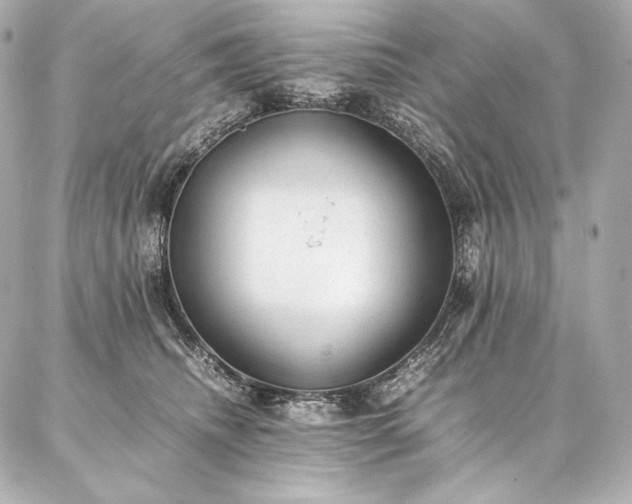 X0000086970468200704231520