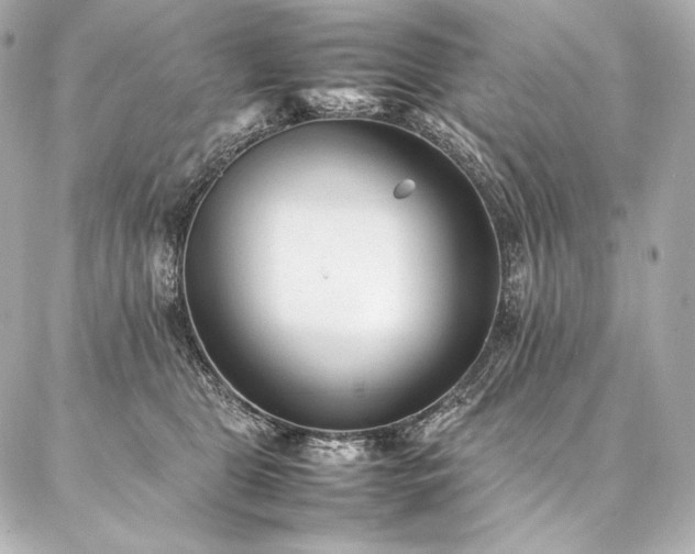 X0000086970469200704231520