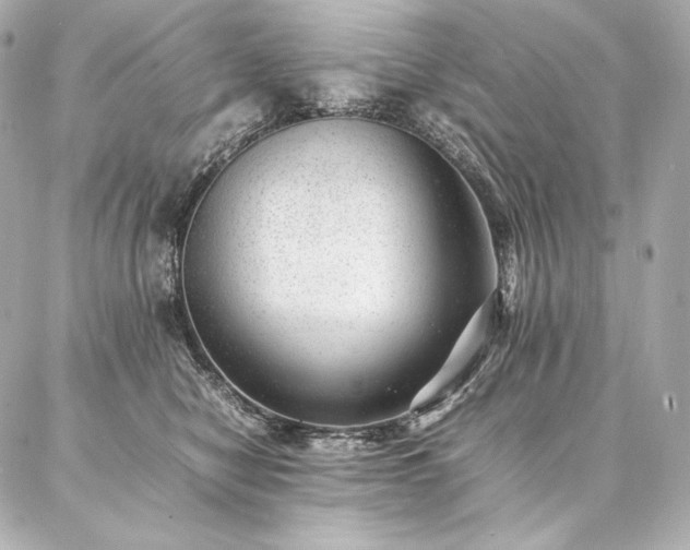 X0000086970470200704231520