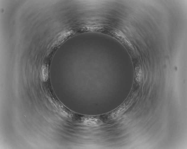 X0000086970471200704231520