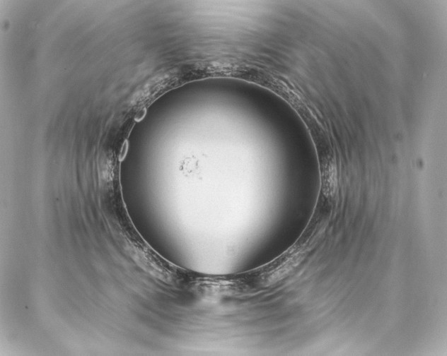 X0000086970472200704231520