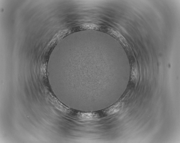 X0000086970473200704231520