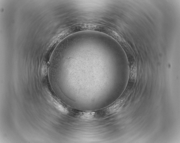 X0000086970474200704231520