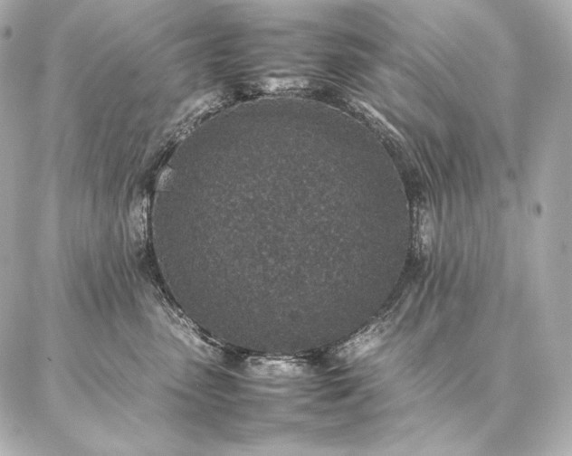 X0000086970475200704231520